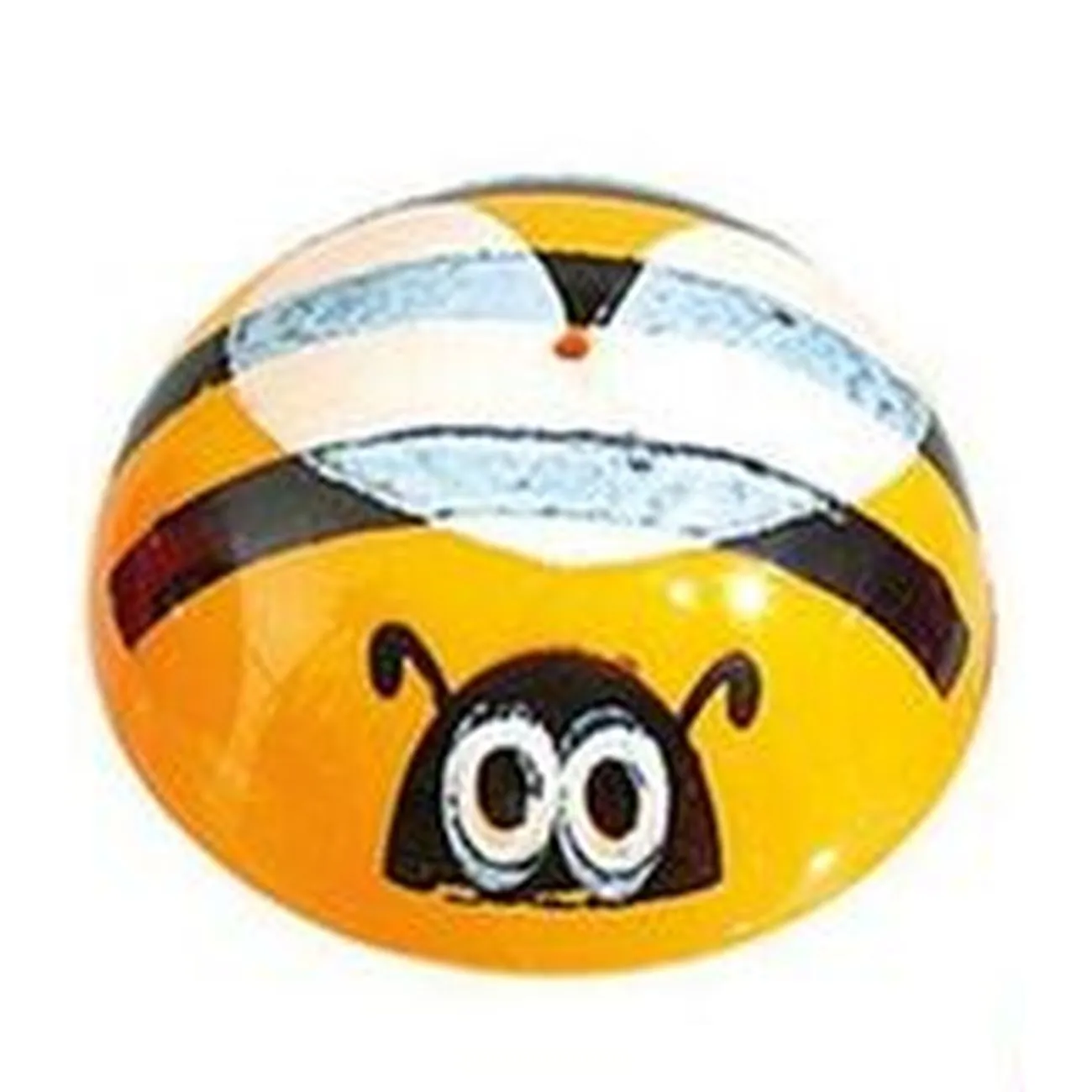 Bee Dome Popper Assorted Styles