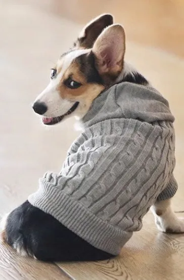 Big dog knitwear (2 styles 3 colors)