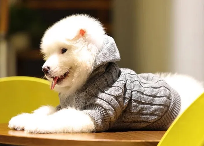 Big dog knitwear (2 styles 3 colors)