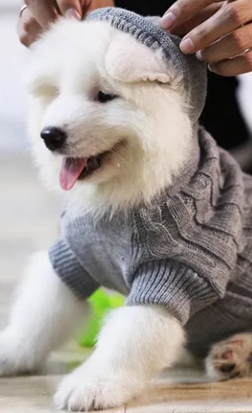 Big dog knitwear (2 styles 3 colors)
