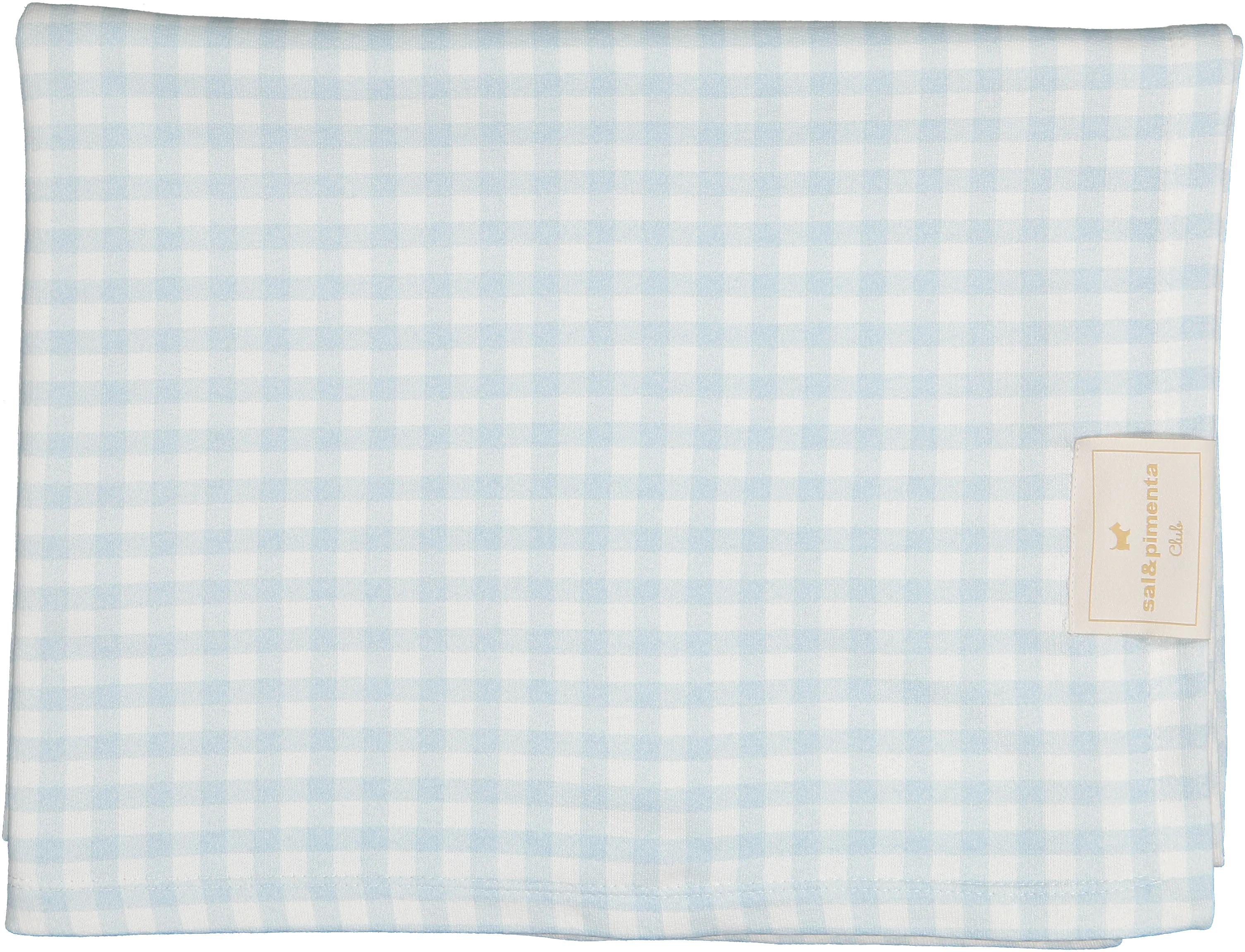 Blue Gingham Towel