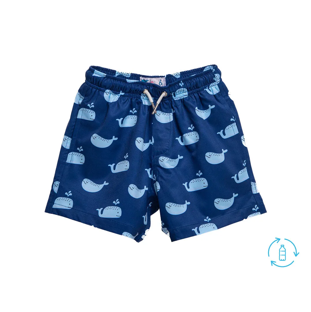 Blue Whale