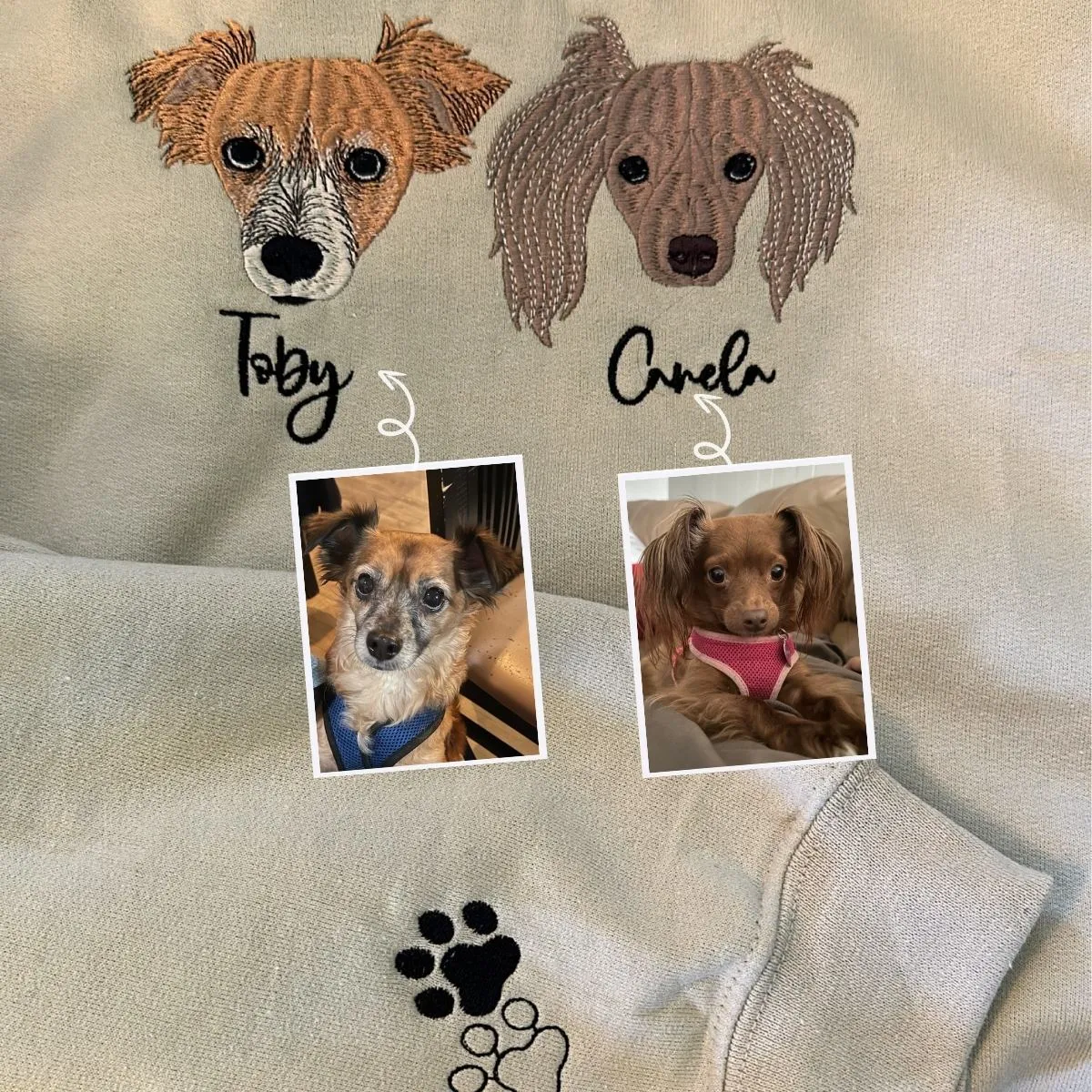 Cavalier King Charles Spaniel Sweatshirt or Hoodie, Custom Embroidered Gift from Photo Name