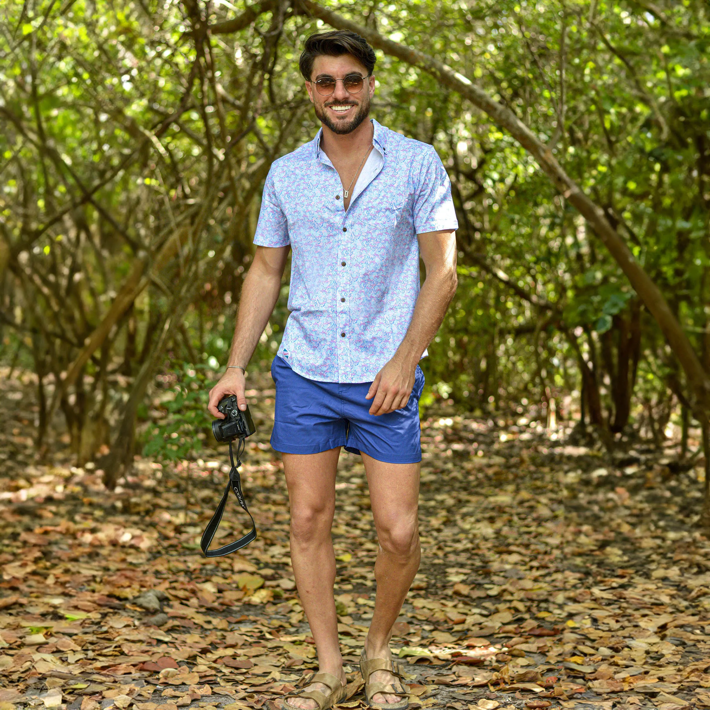 Navy and Blue
